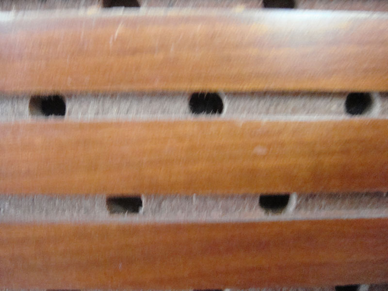 DSC00095