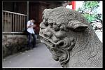貼圖用
