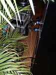 DSCF0027a