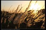 IMG 5884
