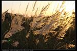 IMG 5885