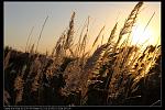 IMG 5886