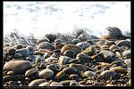 IMG 5720