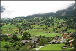 IMG 0549