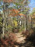 美國東部有名的 Appalachian Trail
